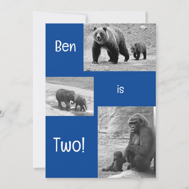 Convite de aniversário de zoológico de duas veloci (Frente)