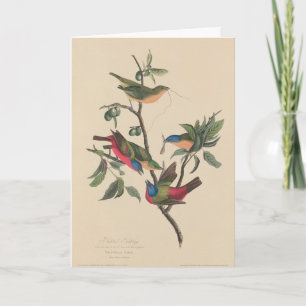 Convite de aniversário Havell Audubon Pintado Bun