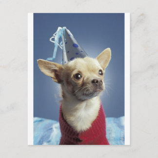 Convite de Aniversário para Cães de Festa