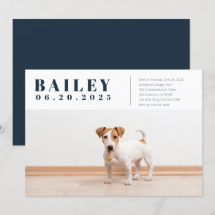 Convite de Aniversário para Fotografia de Cães P