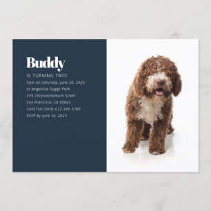 Convite de Aniversário para Fotografia de Cão Cãoz