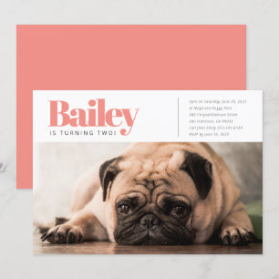 Convite de Aniversário para Fotografia de Cão Cãoz