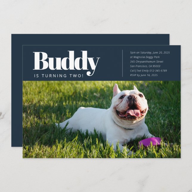 Convite de Aniversário para Fotografia de Cão Cãoz (Frente/Verso)