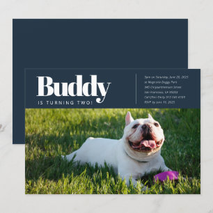Convite de Aniversário para Fotografia de Cão Cãoz