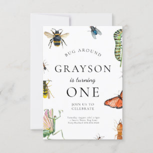 Convite De Aniversário Para insetos Para Crianças