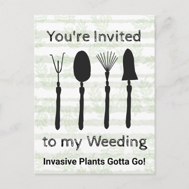 Convite de cartão postal da Semana da Flor Silvest (Frente)