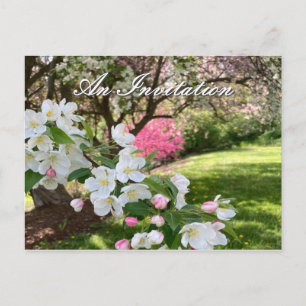 Convite de Cartão Postal Flores Cor-de-Rosa de Mai