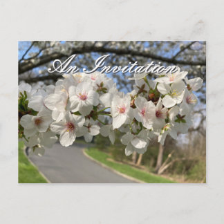 Convite de Cartão Postal May Flowers