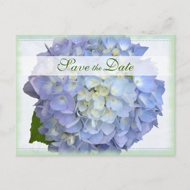 Convite de casamento Blue Moon Hydrangea para guar (Frente)