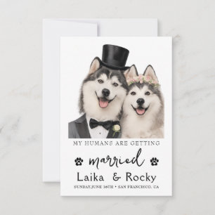 Convite de Casamento Engraçado de Cachorro
