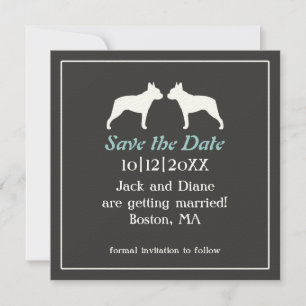 Convite de casamento Save the Date com Boston Terr