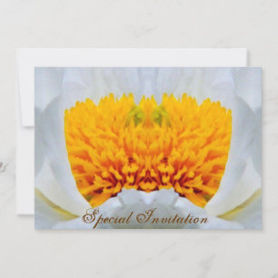 Convite de Celebração