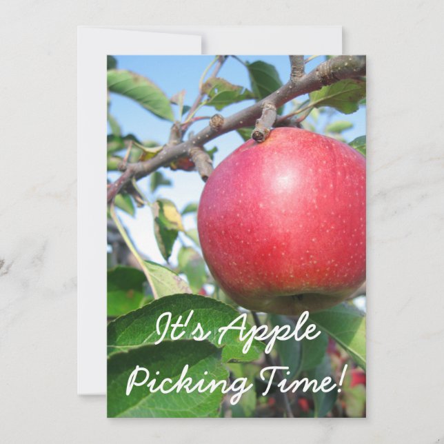 Convite de Colheita (Frente)