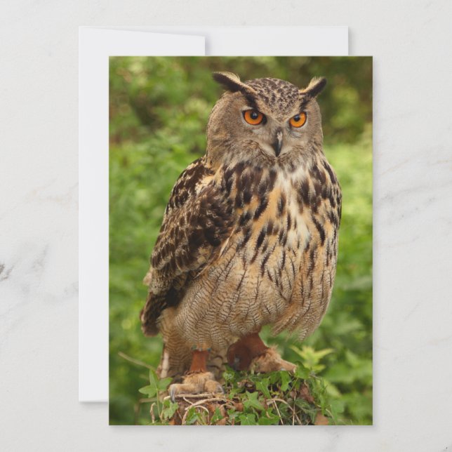 Convite de Coroa (Frente)