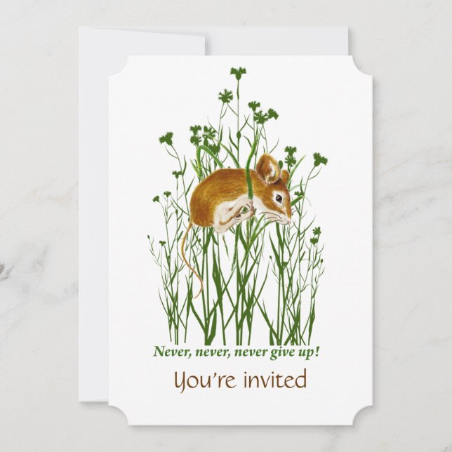 Convite de Evento de Fluxo de Recursos de Cancer d (Frente)