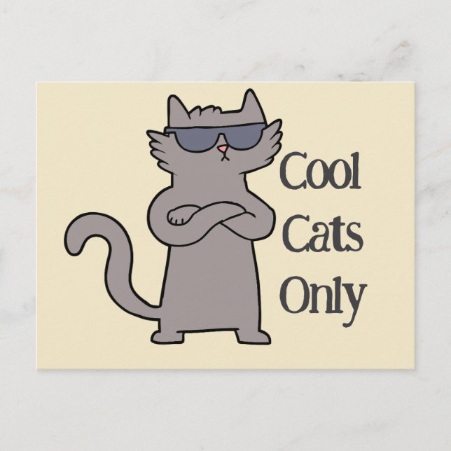 Convite de Evento para Gatos Legais (Frente)