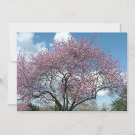 convite de festa de aniversário