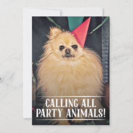 CONVITE DE FESTA DE ANIVERSÁRIO DO CÃO FAMILIAR FO