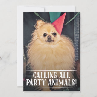 CONVITE DE FESTA DE ANIVERSÁRIO DO CÃO FAMILIAR FO