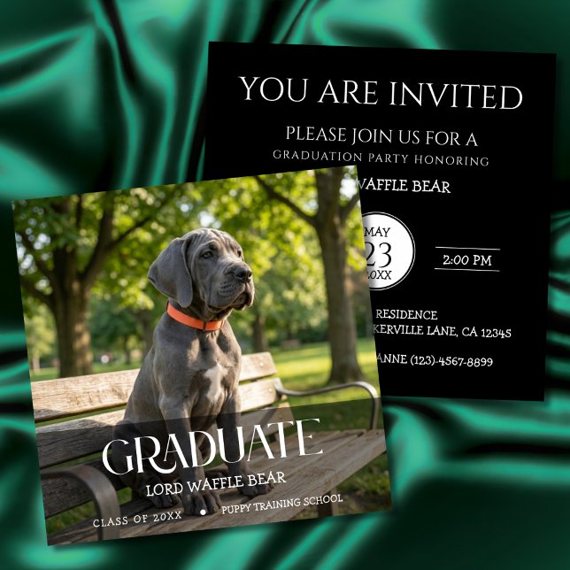 Convite de Festa de Formatura de Cachorro Foto do  (Dog training graduation invitation cards)