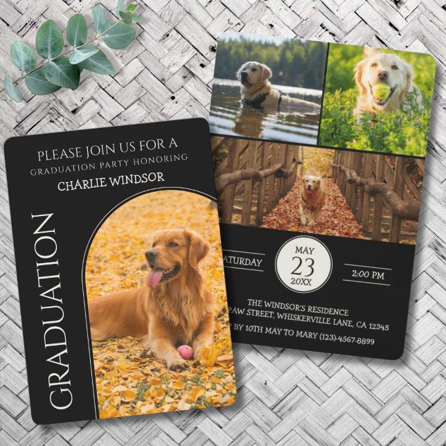 Convite de Festa de Formatura de Cachorro Fotos de (Dog Graduation Party Invitation cards)