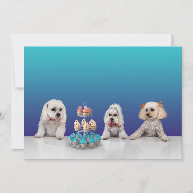 Convite de festa simples personalizável 5x7 (Frente)