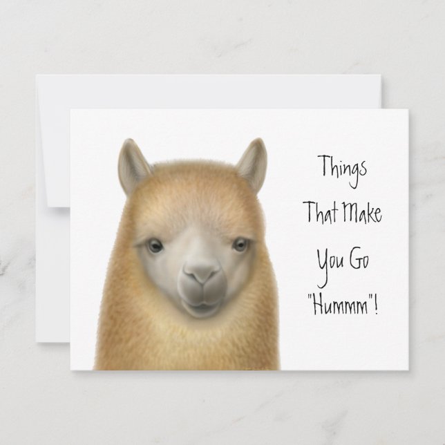 Convite de festas da alpaca (Frente)