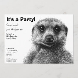 Convite de festas de Meerkat