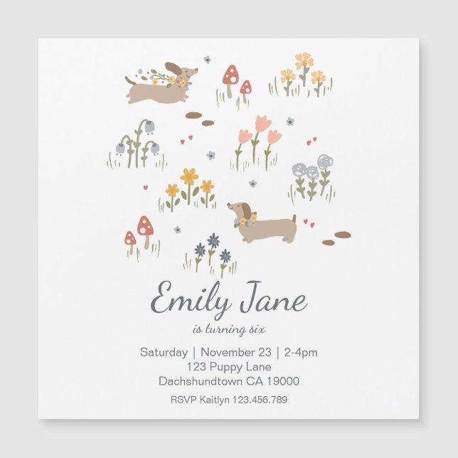 Convite de festas De Pássaros De Cachshund Weiner (Frente)