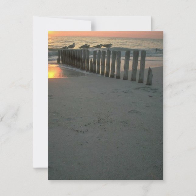 Convite de festas de Praia do Campo de Algodão de  (Frente)