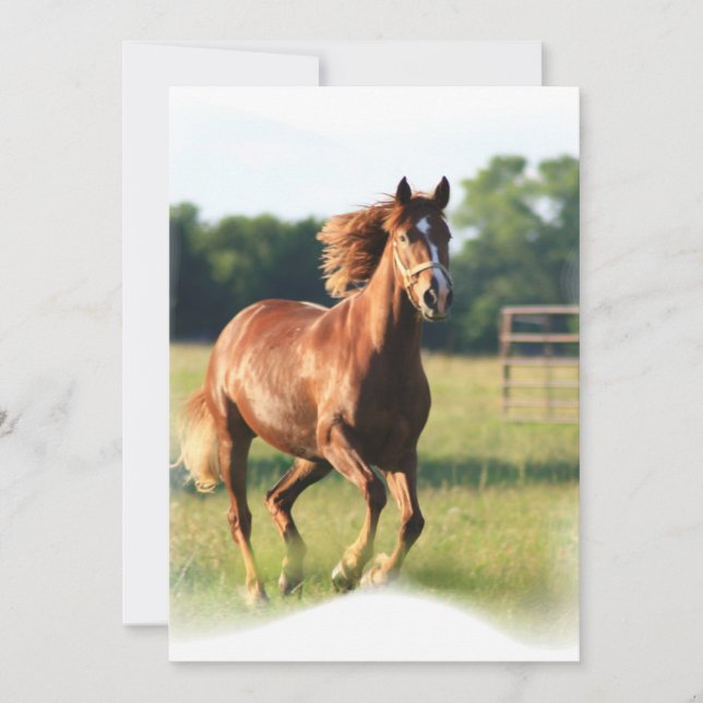 Convite de galope da castanha (Frente)