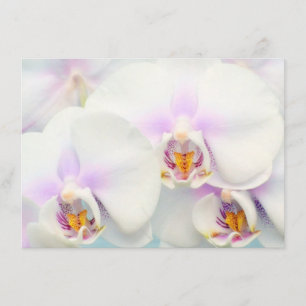 Convite de Orquídeas Brancas