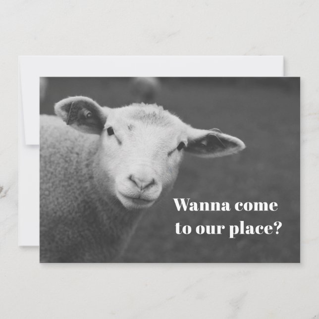 Convite de Páscoa judaica Fofo (Frente)