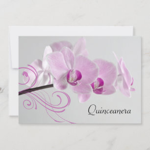 Convite de Quinceanera para a Elegância Orquídea R