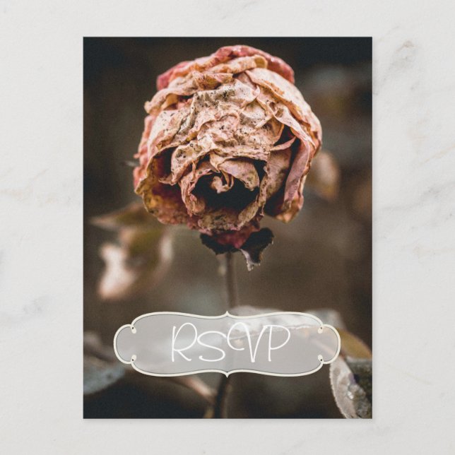 Convite de RSVP para Festa de Divórcio com Foto (Frente)