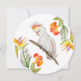Convite Desenho em aquarela de um papagaio-católico