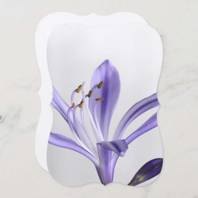 Convite Destino do chá de panela (Frente/Verso)