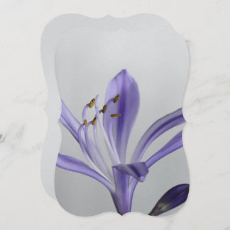 Convite Destino do chá de panela