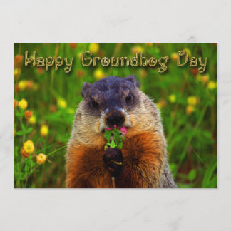 Convite Dia de Groundhog feliz que come a flor