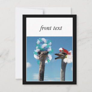 Convite Dia do Chapéu Louco nas Corridas