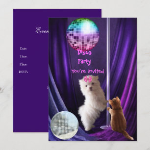 Convite Disco Festa Cachorro Gato Maltês Filhote