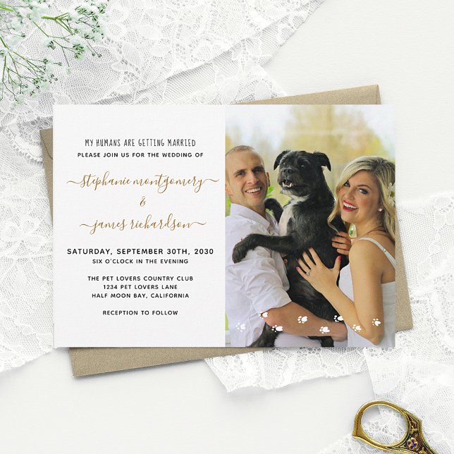 Convite Diversão Meus Humanos Casando Foto de Casamento de (Criador carregado)