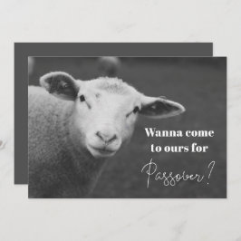 Convite Divertido para o Pessach