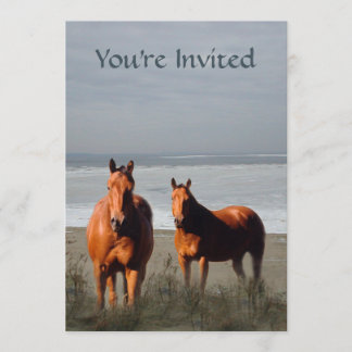 Convite do cavalo da praia
