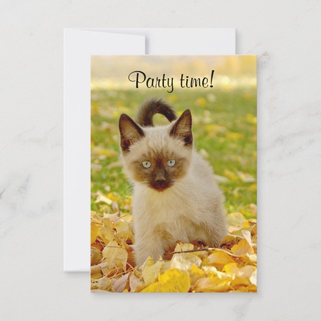 Convite Do "convite do tempo partido" (Frente)