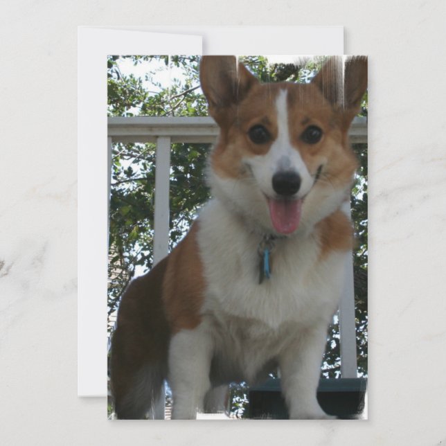 Convite do Corgi (Frente)