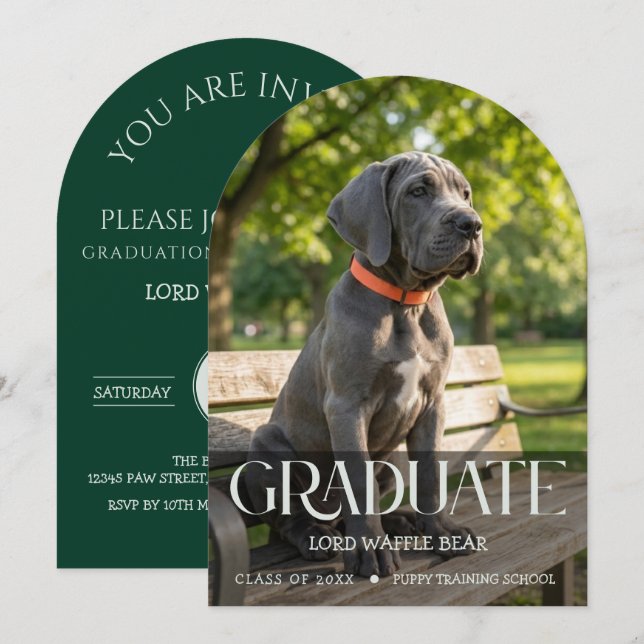 Convite Dog Graduation Invitation Pet Photo in Emerald (Frente/Verso)