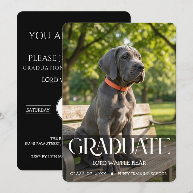 Convite Dog Graduation Party Invite Pet Photo Black (Frente/Verso)