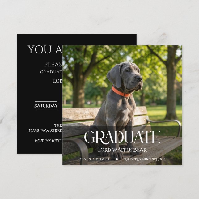 Convite Dog Graduation Party Invite Pet Photo Black &White (Frente/Verso)