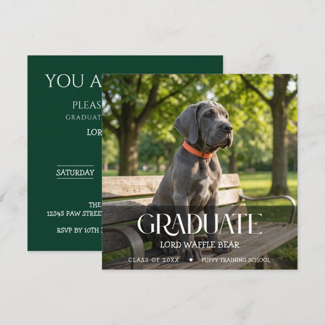 Convite Dog Graduation Party Invite Pet Photo Black &White (Frente/Verso)